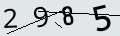 verifycode